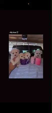 crate