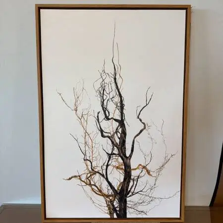Solitude II Framed Print By James Mcallen -36X2.5X54