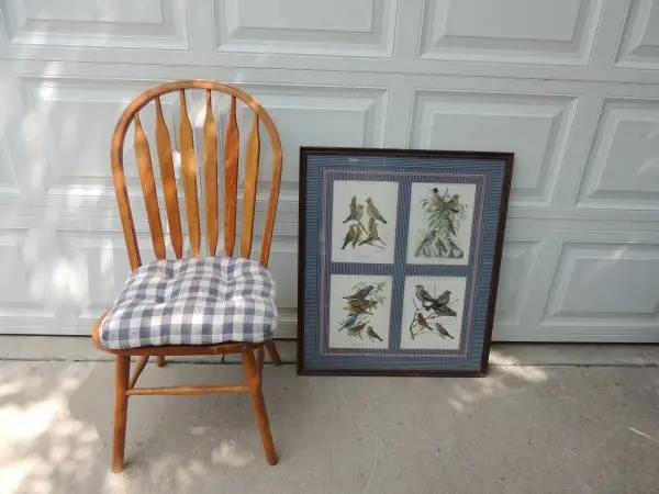 Framed & Matted Bird Drawings Artwork