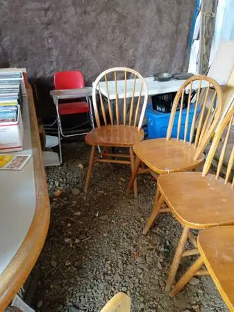Dinning room chairs