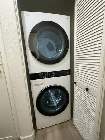 LG Washtower