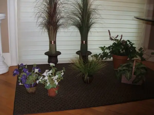Indoor Artificial Plants