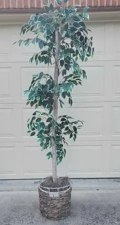 DECORATIVE 7  TREE IN  BASKET