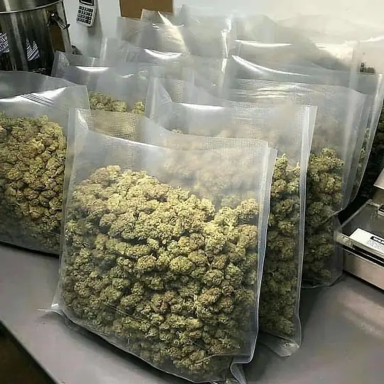 kush
