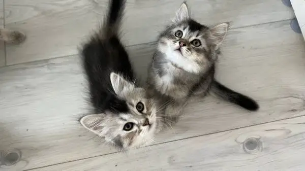 Cuteness overload