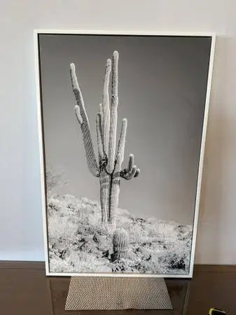 West Elm Towering Cactus 2-23X36