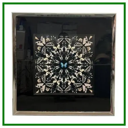 Laitan Home Decorations Butterfly Print Art Work, Framed