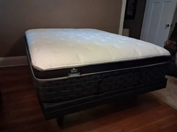 Adjustable Queen size bed