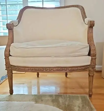 Fabulous Vintage Meyer Gunther Martini Arm Chair