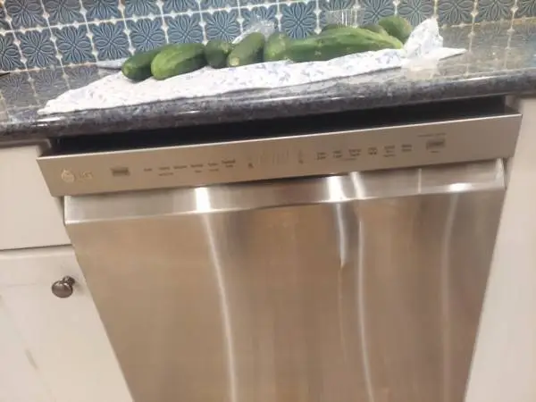 Dish wash