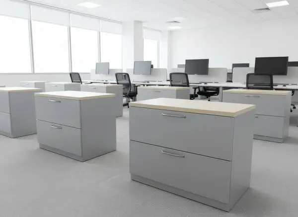 File Cabinet / Filing Cabinets & Storage Options! Starting At Just
