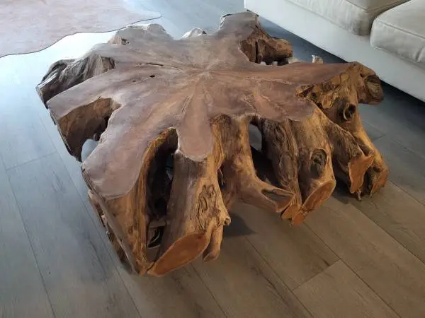 Teak root coffee table solid wood live edge wood table