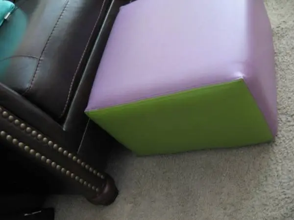Colorful Dog Step