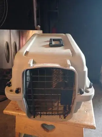 Portable pet crate
