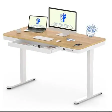 Standing Desk - Flexispot