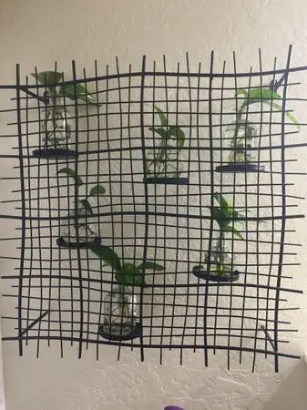 Wall candle/plant holder