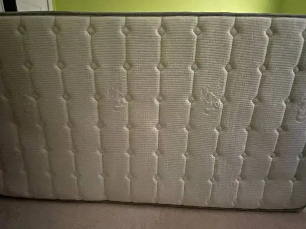 Mattress Twin pillow top 10