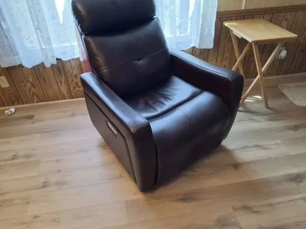 Electric Recliner