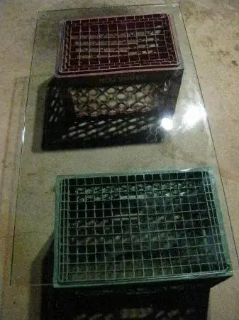 LARGE PLATE GLASS