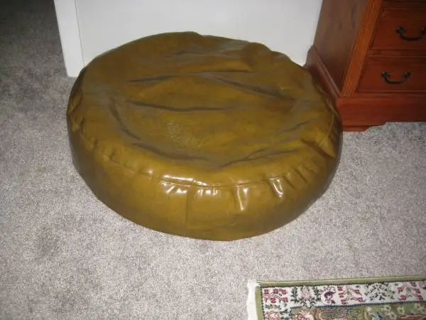 Greatest Bean Bag of All Time