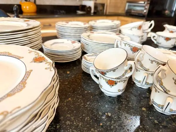 Myott Staffordshire Dinnerware Set in Commander Pattern (2834)