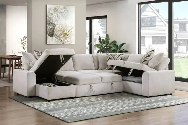 New sectional with storage and sleeper
