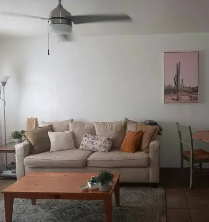 Beige Couch