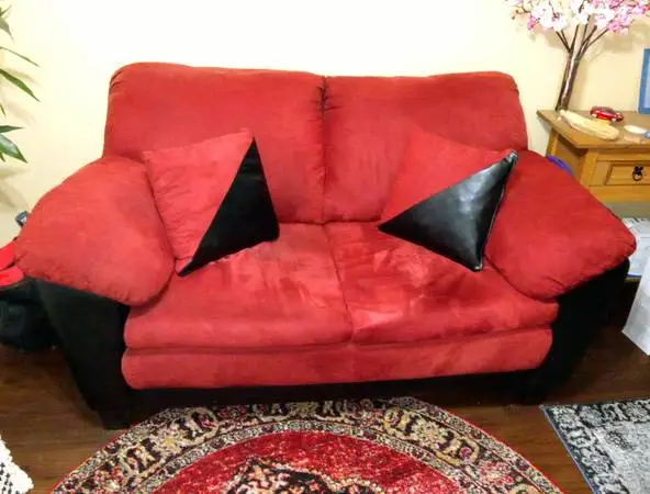 Loveseat + Flat Screen TV 20
