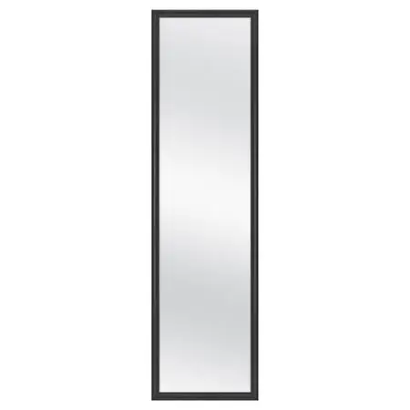 Long mirror for salr