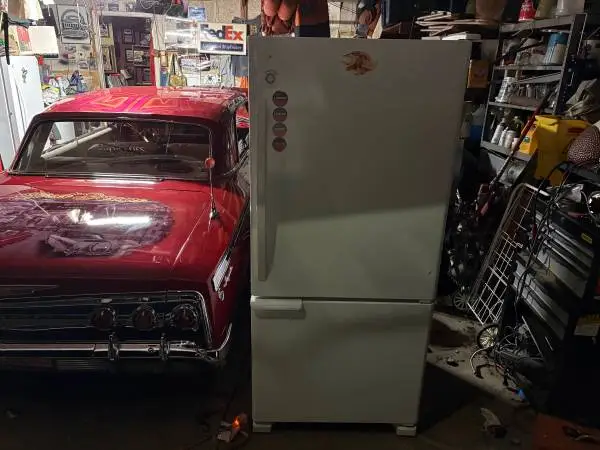 REFRIGERATOR BOTTOM FREEZER CAN DELIVER