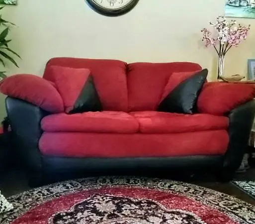 Loveseat + Flat Screen TV 20