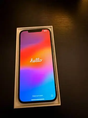 iPhone 12 Pro Max