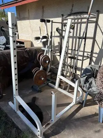 Weight stands & bench