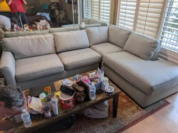 Sectional Sleeper Sofa Couch