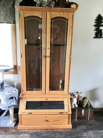 Gun cabinet