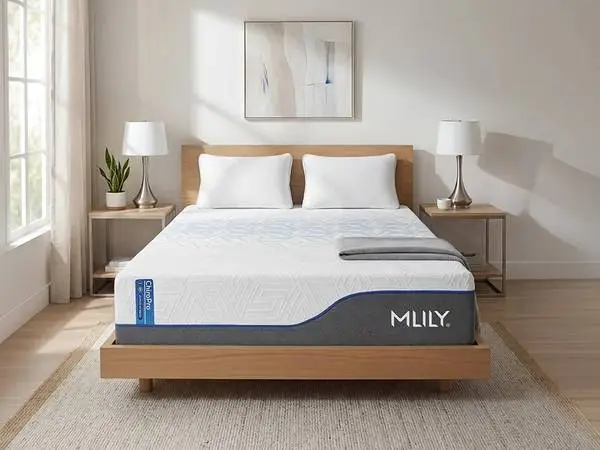 Crazy Bargain! 2026 Brand new full firm ChiroProHybrid Mattress