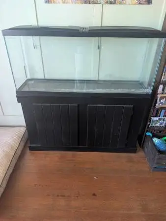 Large fishtank