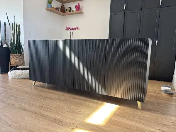 Modern Credenza/Cabinet with Storage