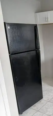 GE Refrigerator