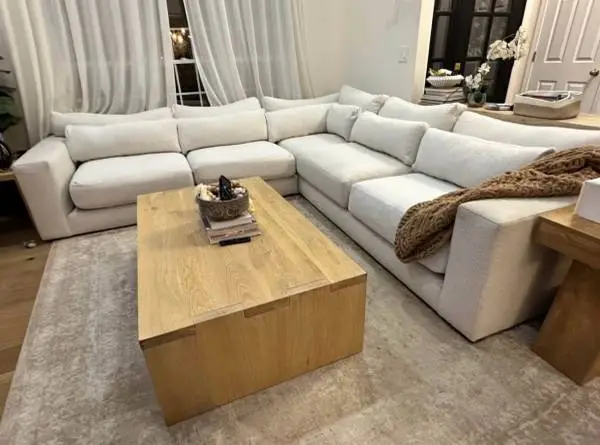 Crate and Barrel Retreat L-shaped Sectional extra deep