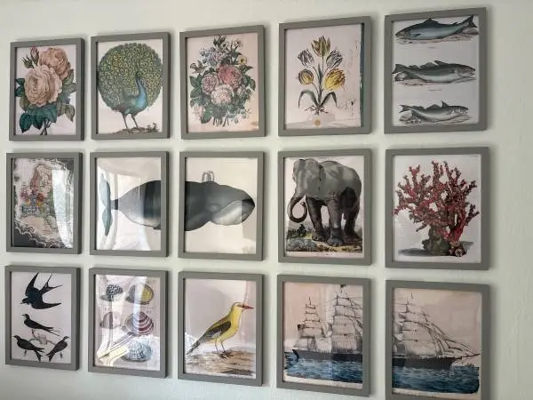 John Derian prints set of 15