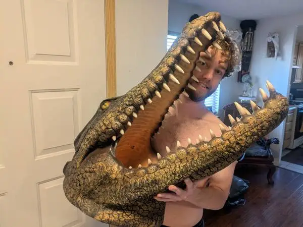 Large 30 alligator wall decor