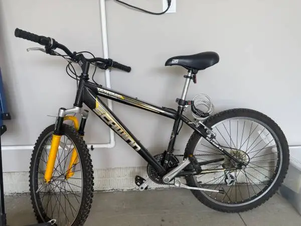 Schwinn Bike 20  21 speed