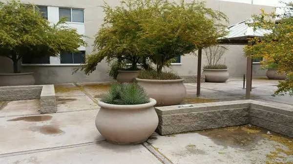 PLANTER POTS