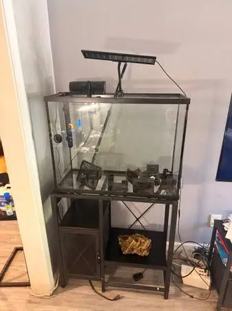 Aquarium setup