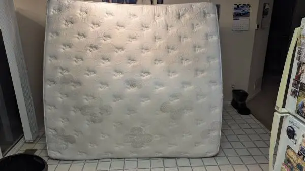 7 Year Old Used King Size Doctors Choice Elite Denver Mattress
