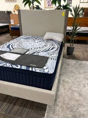 HUGE STORE CLEARANCE SALE – Rugs, Lamps, Mattresses, Sofas!