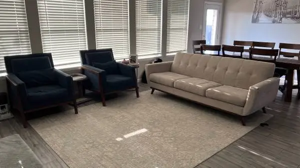 Sofa, both accent chairs, and rugs