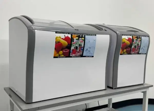Avanti Commerical Chest Freezers