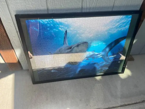 (3) Black Frames with Glass - 21 x 31